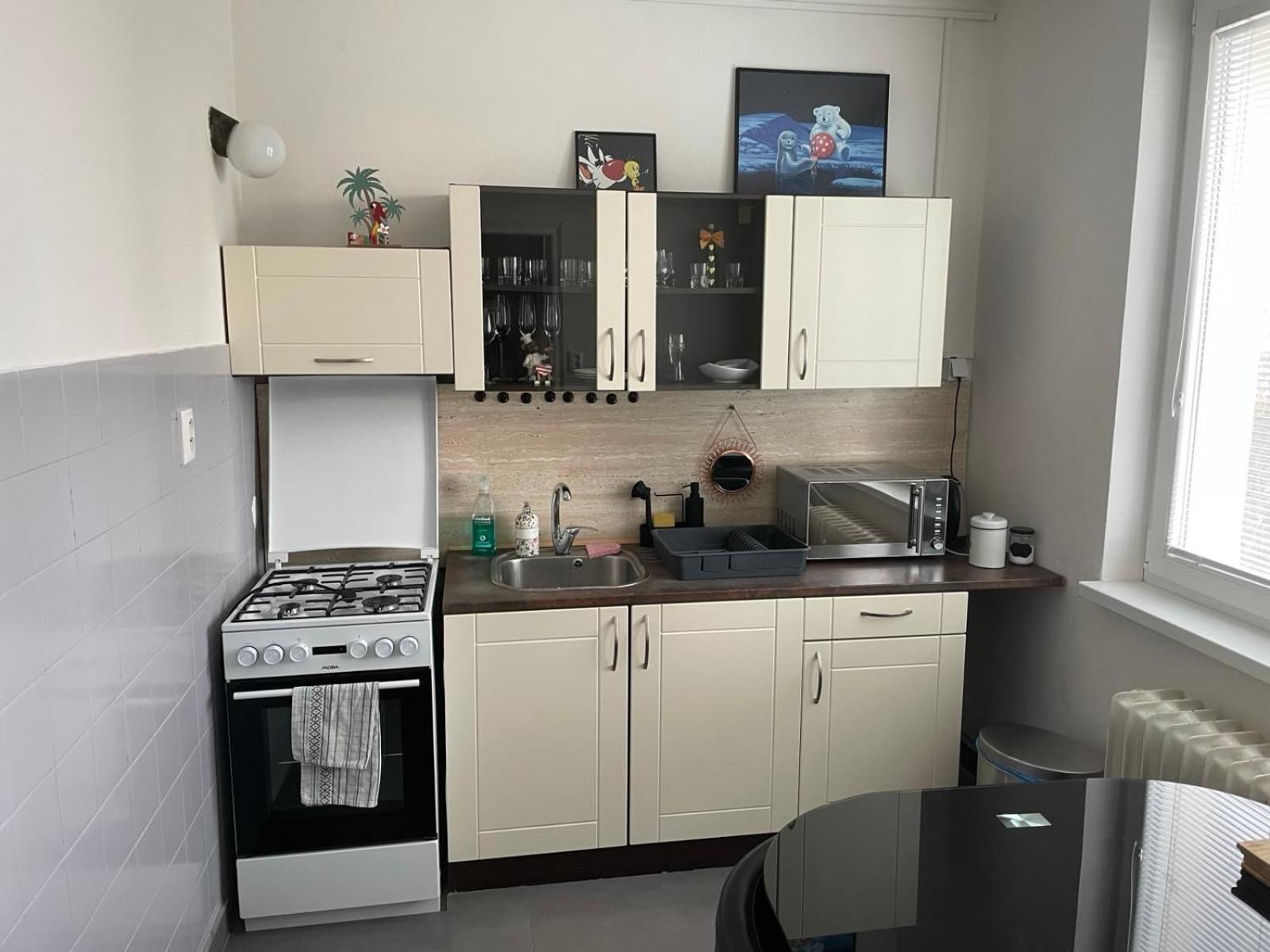 Apartman Sabo Komenskeho Кошице Экстерьер фото